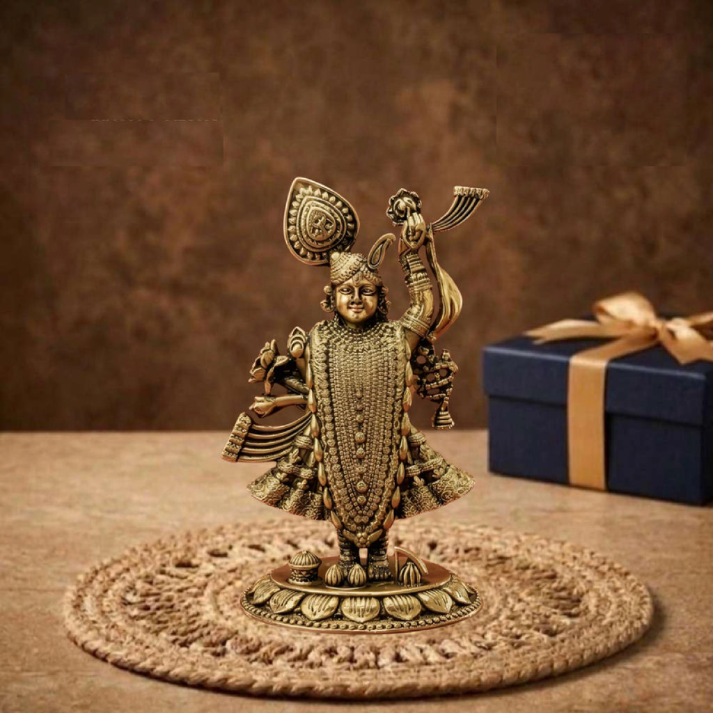 GP Lord Shreenathji Idol