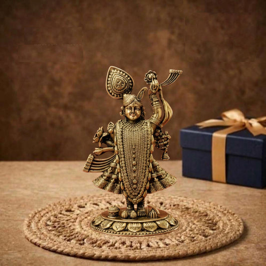 GP Lord Shreenathji Idol