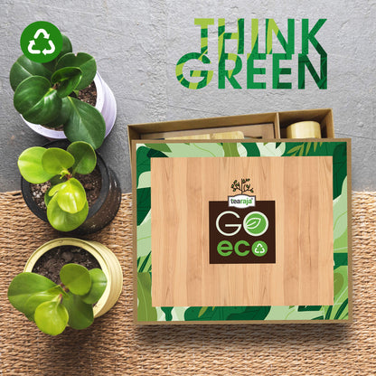 GP Go Eco Box